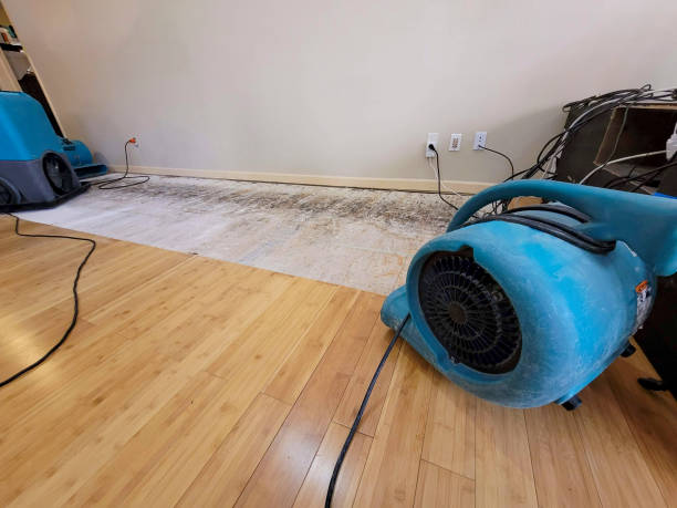 Professional Water Extraction technician working in Brockton, MA
